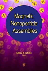 Magnetic Nanoparticle Assemblies (Hardcover)