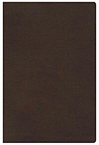 Study Bible for Women-HCSB (Leather)