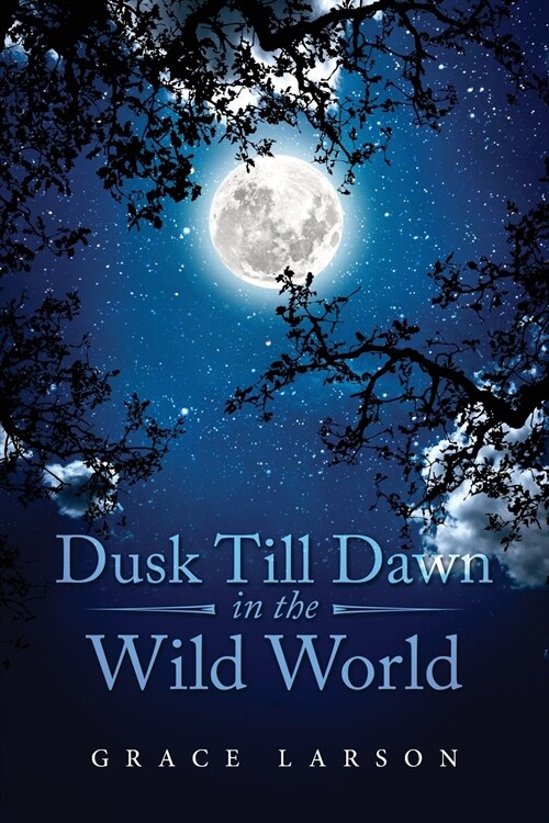 Dusk Till Dawn In The Wild World (Paperback)