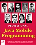 Professional Java Mobile Programming (Paperback)