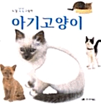 아기고양이