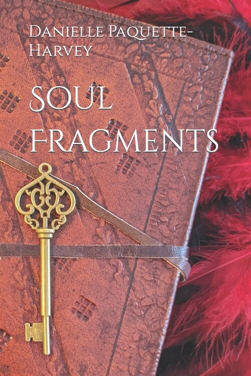 Soul Fragments (Paperback)