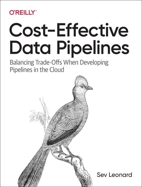 Cost-Effective Data Pipelines: Balancing Trade-Offs When Developing Pipelines in the Cloud (Paperback)