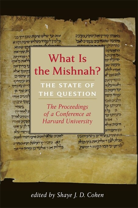 What Is the Mishnah?: The State of the Question (Hardcover)