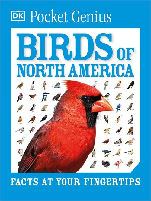 Pocket Genius Birds of North America (Paperback)