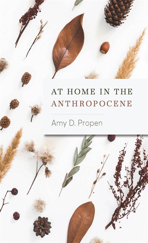 At Home in the Anthropocene (Paperback)