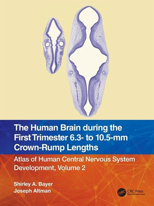 The Human Brain during the First Trimester 6.3- to 10.5-mm Crown-Rump Lengths : Atlas of Human Central Nervous System Development, Volume 2 (Paperback)