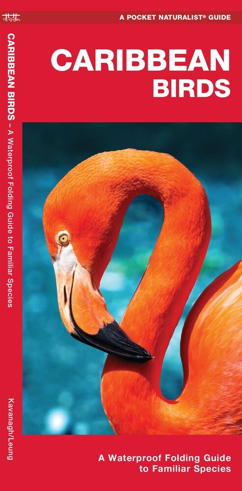 Caribbean Birds/Aves Caribenas: A Folding Pocket Guide to Familiar Species/Una Guia Plegable Portatil de Especies Conocidas (Paperback, 2)