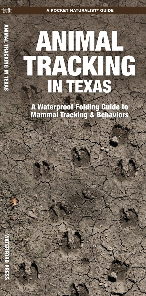 Animal Tracking in Texas: A Folding Pocket Guide to Animal Tracking & Behavior (Paperback)