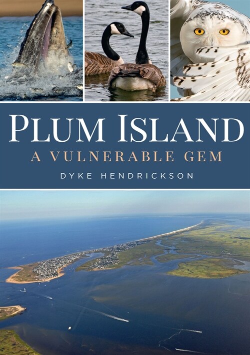 Plum Island: A Vulnerable Gem (Paperback)