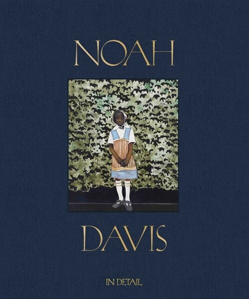 Noah Davis: In Detail (Hardcover)