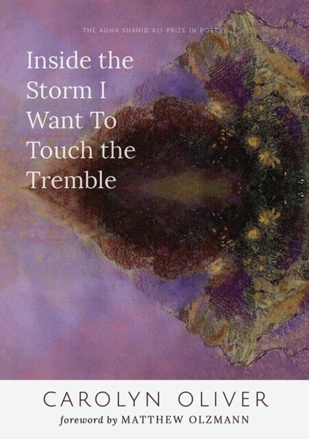 Inside the Storm I Want to Touch the Tremble (Paperback)