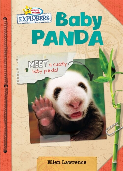 Baby Panda (Library Binding)