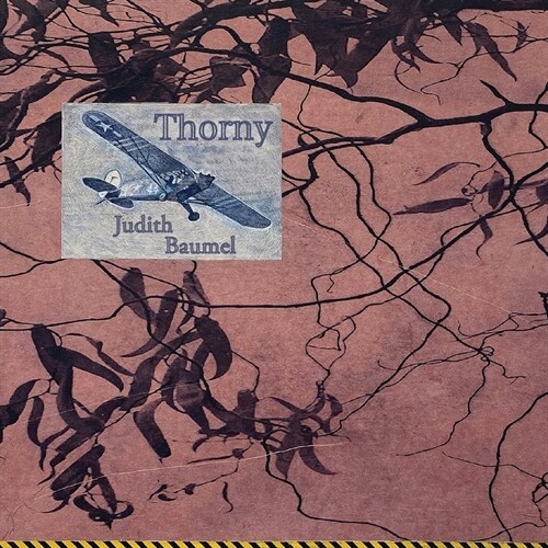 Thorny (Paperback)