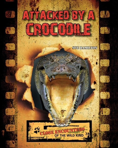 Attacked by a Crocodile (Paperback)