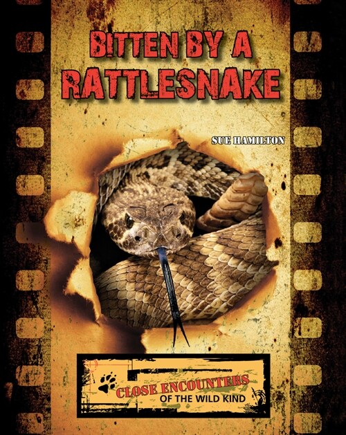 Bitten by a Rattlesnake (Paperback)