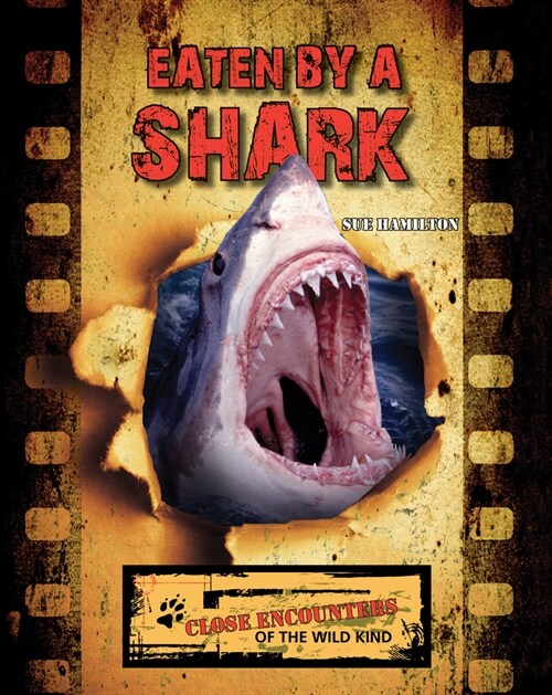 Eaten by a Shark (Paperback)