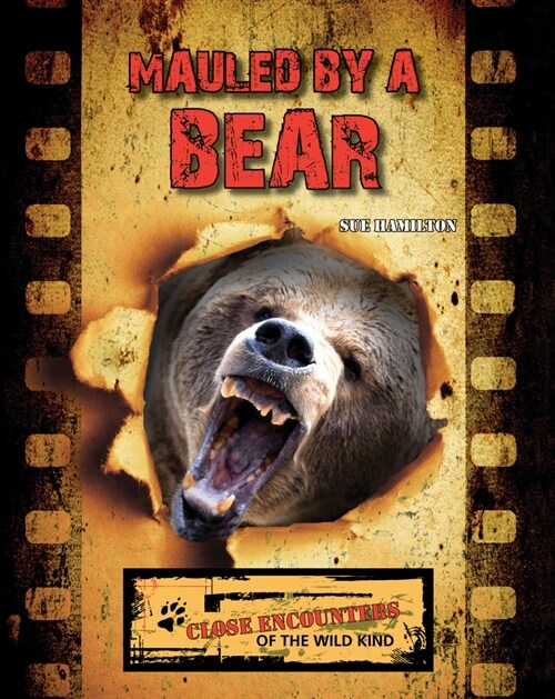 Mauled by a Bear (Paperback)