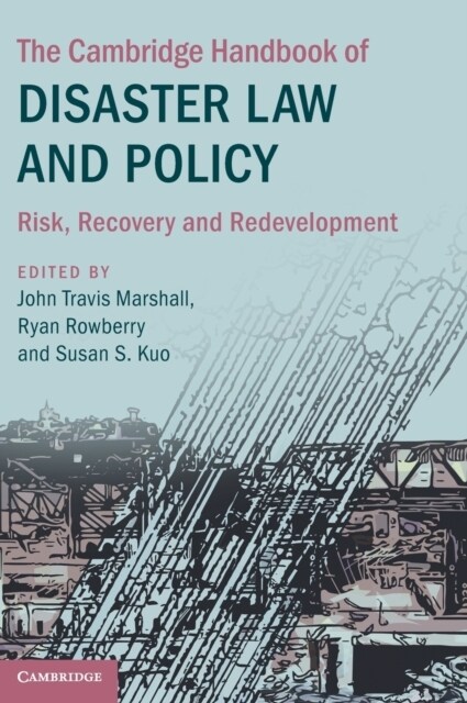 The Cambridge Handbook of Disaster Law and Policy : Risk, Recovery, and Redevelopment (Hardcover)