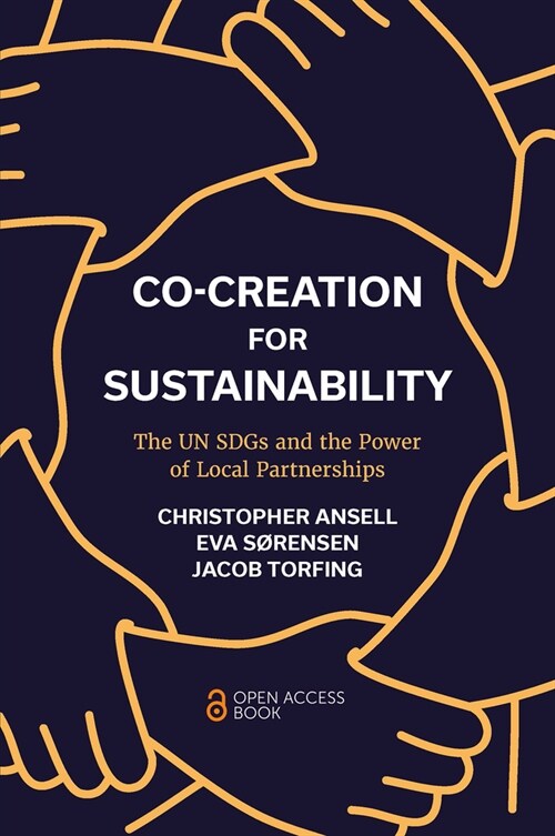 Co-Creation for Sustainability : The UN SDGs and the Power of Local Partnerships (Paperback)