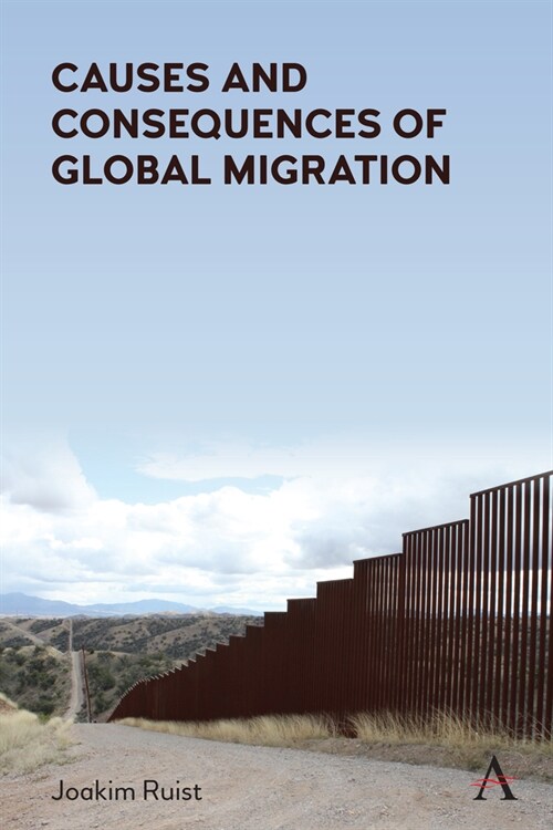 Causes and Consequences of Global Migration (Paperback)