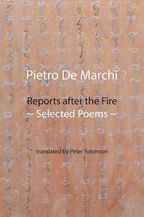 Reports after the Fire: Selected Poems (Paperback)