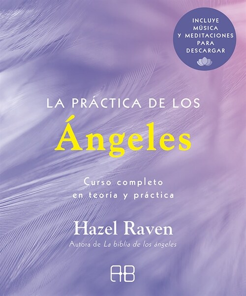 LA PRACTICA DE LOS ANGELES (Paperback)
