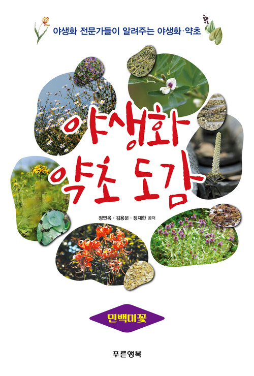 야생화 약초 도감 - 민백미꽃