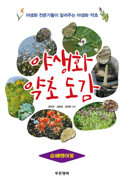 야생화 약초 도감 - 술패랭이꽃