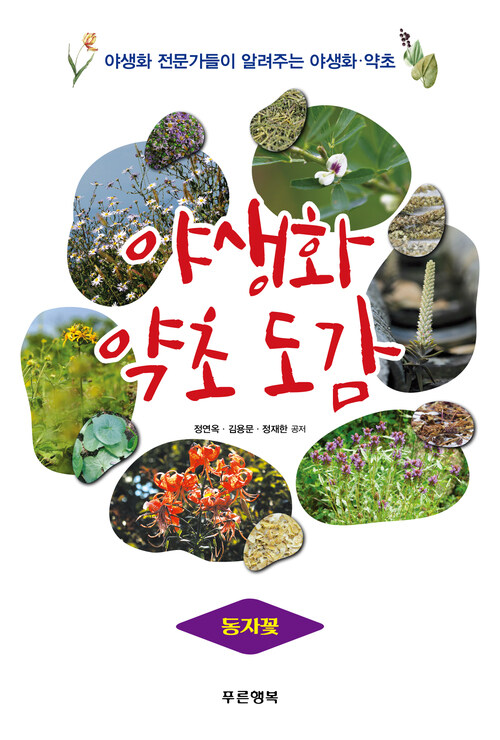 야생화 약초 도감 - 동자꽃