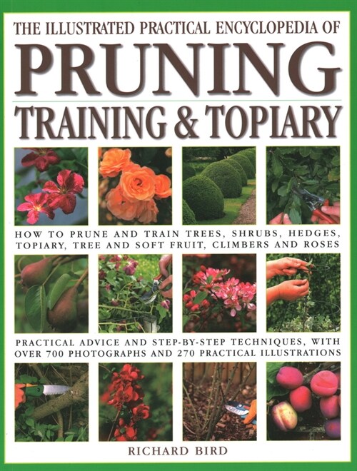 The Pruning, Training & Topiary, Illustrated Practical Encyclopedia of : How to prune and train trees, shrubs, hedges, topiary, tree and soft fruit, c (Paperback)