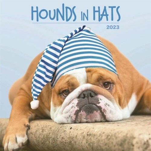 HOUNDS IN HATS SQUARE WALL CALENDAR 2023 (Spiral Bound)