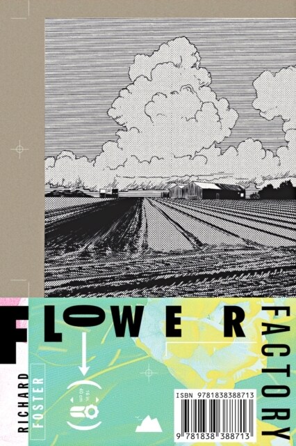 Flower Factory : A Fairy Tale (Paperback)