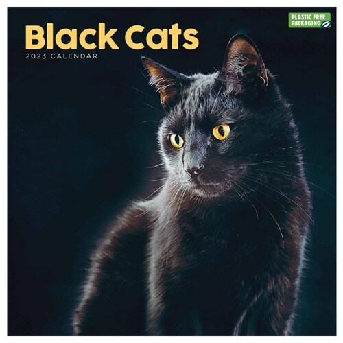 BLACK CATS SQUARE WALL CALENDAR 2023 (Spiral Bound)