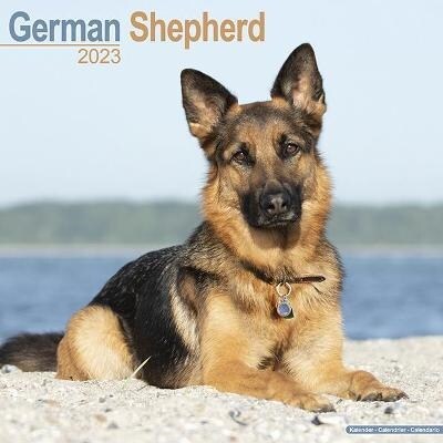 German Shepherd 2023 Wall Calendar (Calendar)