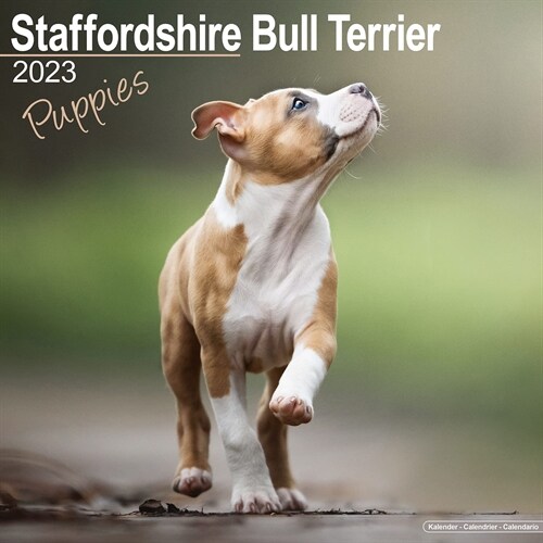 Staffordshire Bull Terrier Puppies 2023 Wall Calendar (Calendar)