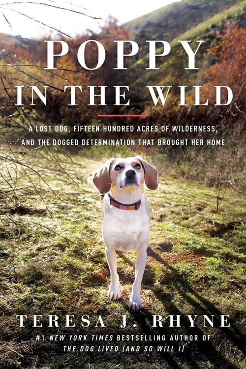 Poppy in the Wild: A Lost Dog, Fifteen Hundred Acres of Wilderness, and the Dogged Determination That Brought Her Home (Paperback)