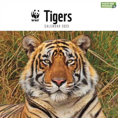 WWF TIGERS SQUARE WALL CALENDAR 2023 (Spiral Bound)