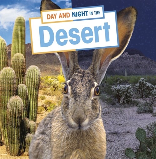 Day and Night in the Desert (Hardcover)