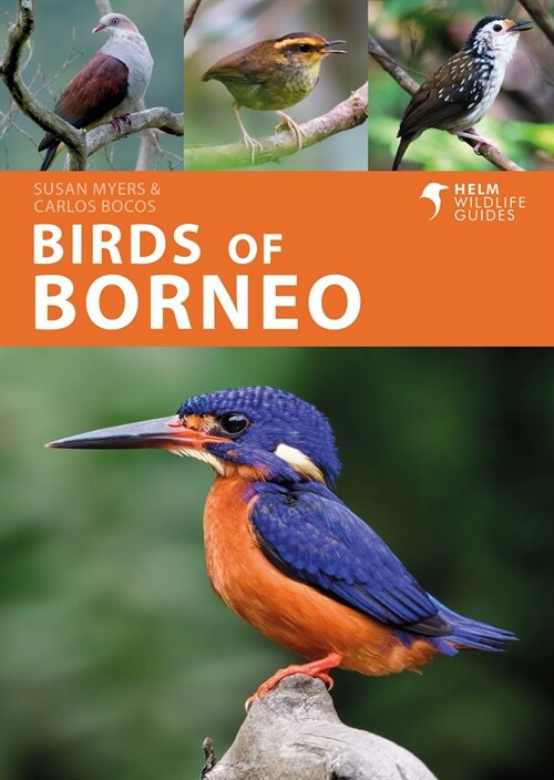 BIRDS OF BORNEO (Paperback)