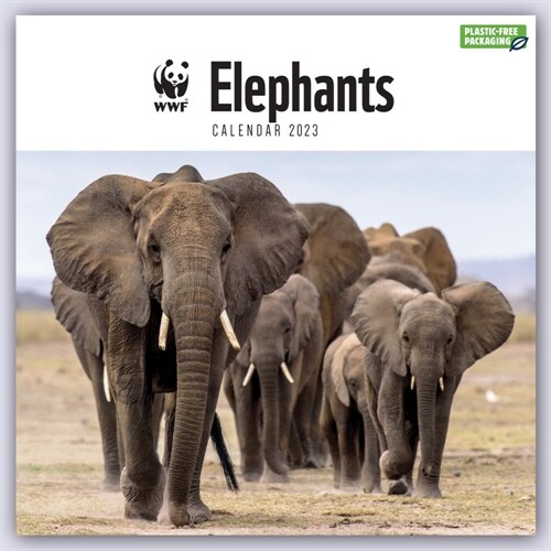 WWF ELEPHANTS SQUARE WALL CALENDAR 2023 (Spiral Bound)