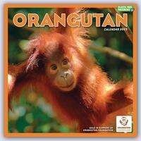 ORANGUTAN SQUARE WALL CALENDAR 2023 (Spiral Bound)