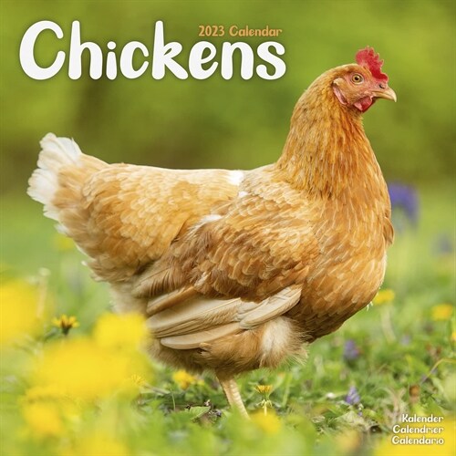 Chickens 2023 Wall Calendar (Calendar)