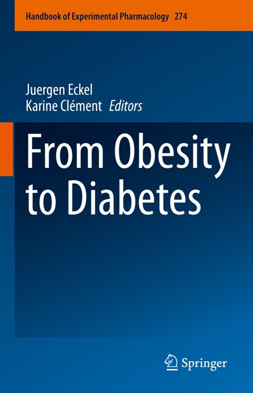 From Obesity to Diabetes (Hardcover)