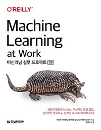 머신러닝 실무 프로젝트 =Machine learning at work 