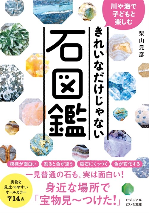 川や海で子どもと樂しむ綺麗なだけじゃない石圖鑑 (だいわ文庫)