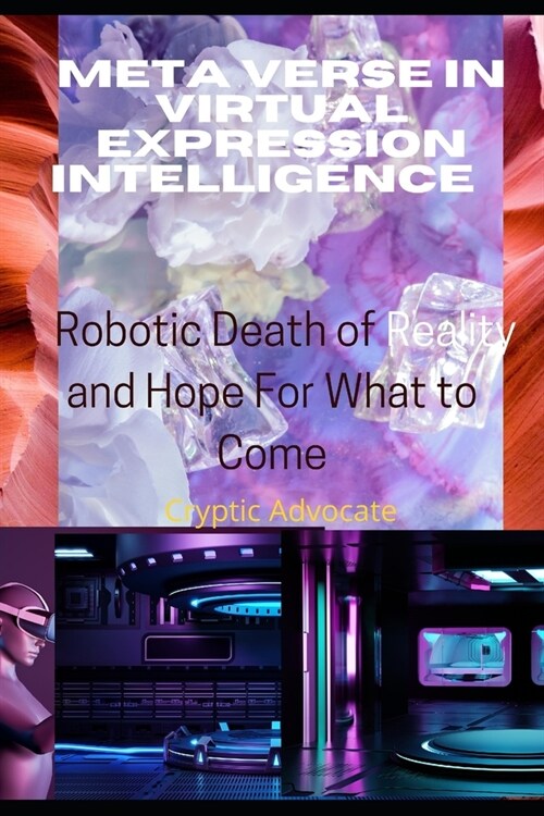 Meta Verse in Virtual Expression Intelligence: Robotic Death of Reality and Hope For What to Come (Paperback)