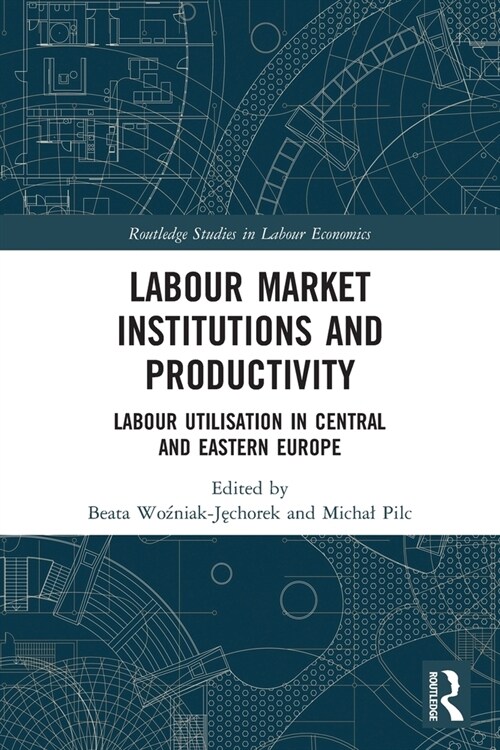 Labour Market Institutions and Productivity : Labour Utilisation in Central and Eastern Europe (Paperback)
