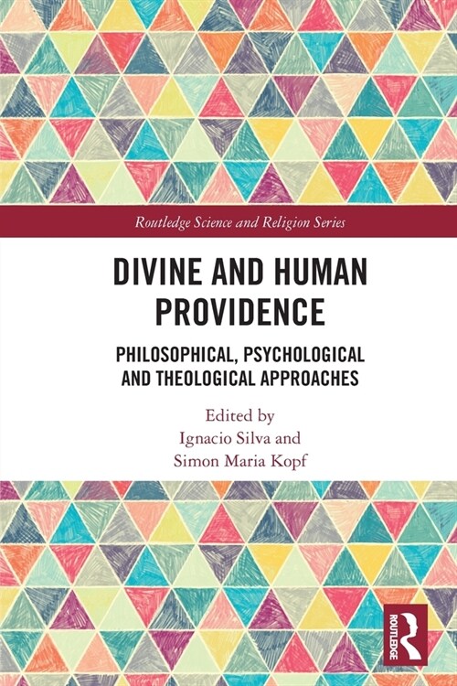 Divine and Human Providence : Philosophical, Psychological and Theological Approaches (Paperback)
