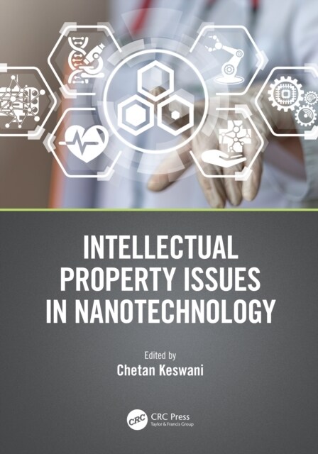 Intellectual Property Issues in Nanotechnology (Paperback)